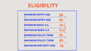 lic digi credit twrm plan